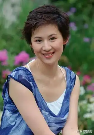 这些天,本来是财经人物的郑永刚及儿子郑驹,妻子周婷像娱乐圈明星一样