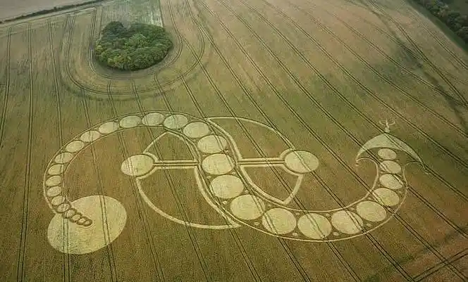 p>麦田怪圈( i>crop circle /i>),是指在麦田或其它田地上,通过某种