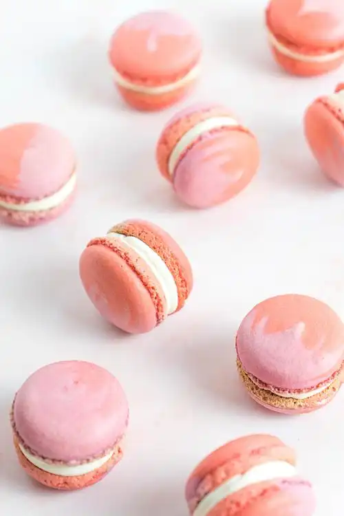 胖胖马卡龙,每一位甜食爱好者的软肋