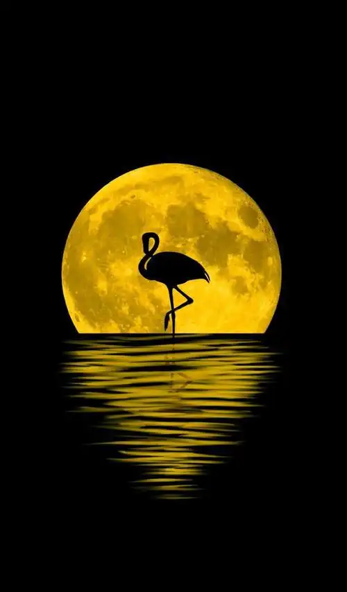 3880x4850无水印超清壁纸个性另类创意壁纸与众不同