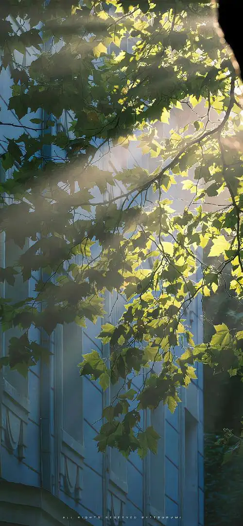 小众壁纸##ins风壁纸##适合微信置顶的文案##朋友圈背景图##可爱壁纸