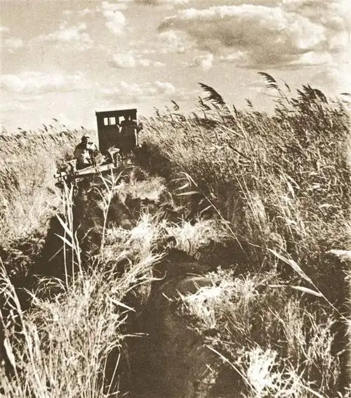 媒体聚焦61黑龙江日报新征程新辉煌新突破北大荒集团改革添动力农业