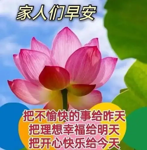 微信群发早晨好表情包图片大全 早上好问候语表情动态图片