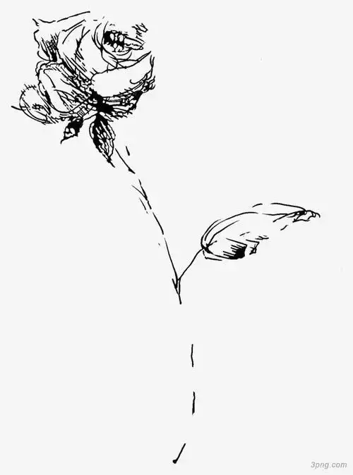 凋落的玫瑰简笔画