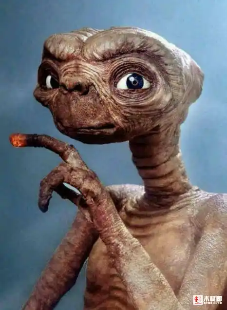 大板到家后,他看着上面的纹路,觉得像一个外星人et,身体,脖子和脸的