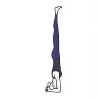 倒立的人微信头像_微信头像图片大全