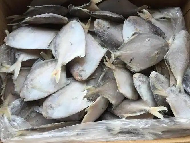 东海舟山野生鲳鱼白鲳鱼平鱼100-150克规格 15%包冰 30斤/箱