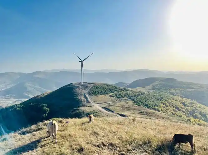 岚县饮马池高山草甸