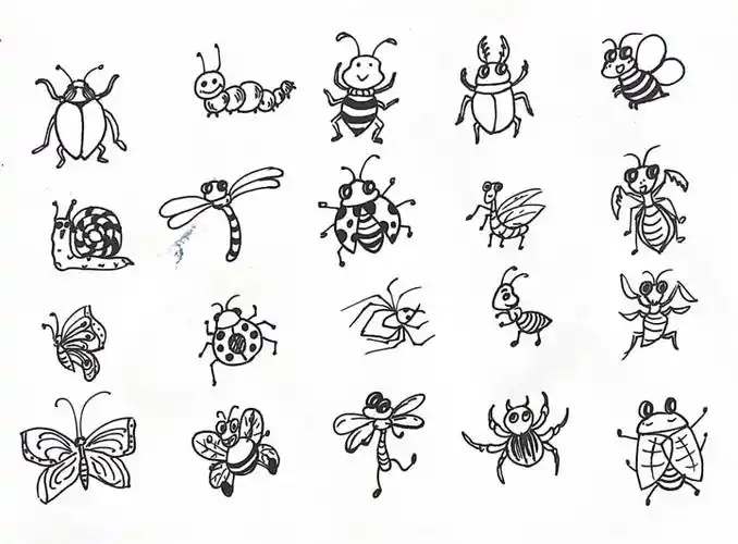 昆虫简笔画030305