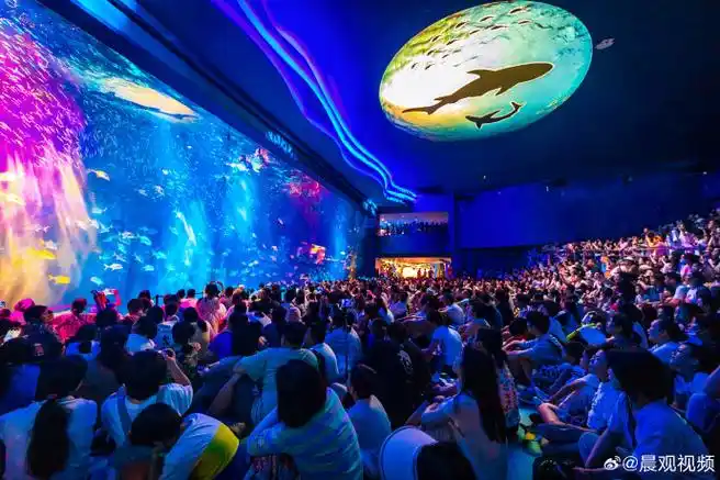 上海海昌海洋公园人比鱼多