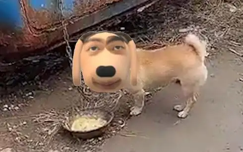 lol选购是谁炫神为什么叫炫狗