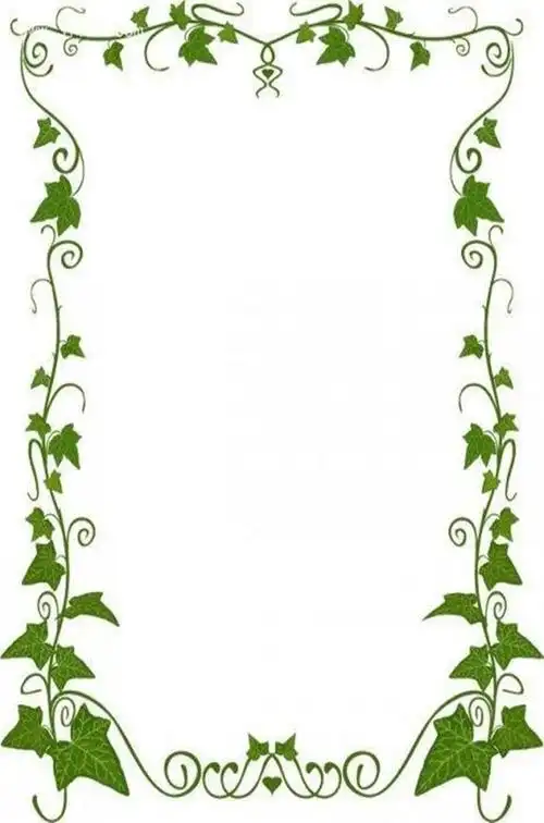 花纹边框图片