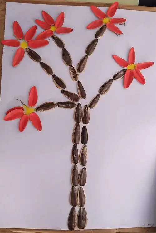 手工制作社团之创意果壳手工