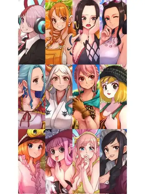 海贼王女性角色