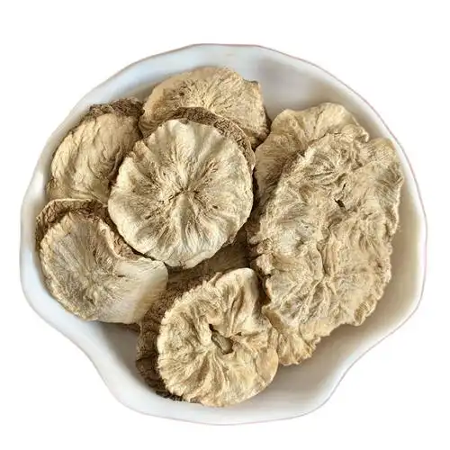 菊苣500克中药材散装根干长白山玉兰菊根可搭蒲公英其他药食同源食品