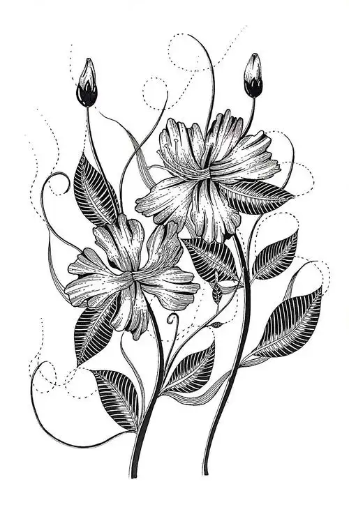 二月份的一些黑白植物线描|插画|创作习作|地主家也没有余粮_原创作品