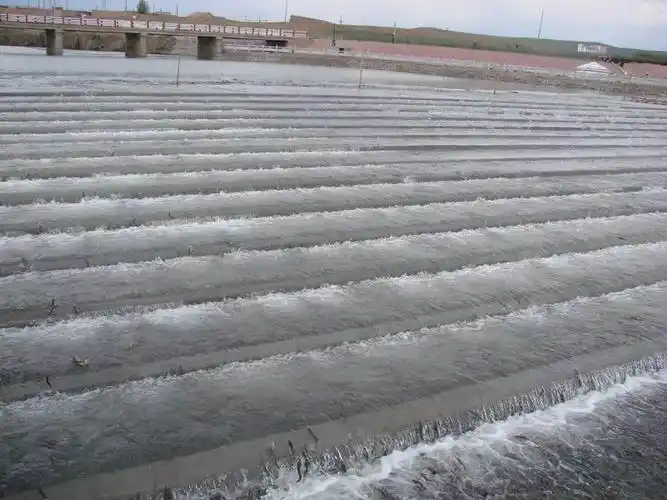 【独家重磅推荐】:鱼道的故事_监测