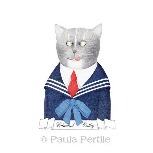 猫咪拟人头像彩铅插画美国画师paulapertile作品