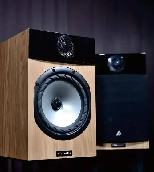 好听是最大特点fyneaudiof301书架式音箱