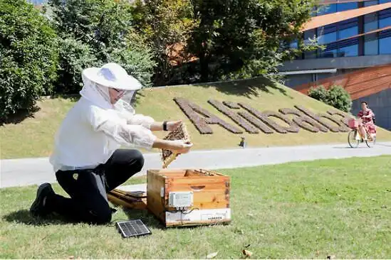 在保护蜜蜂这件事上,我们每个人都要学习.