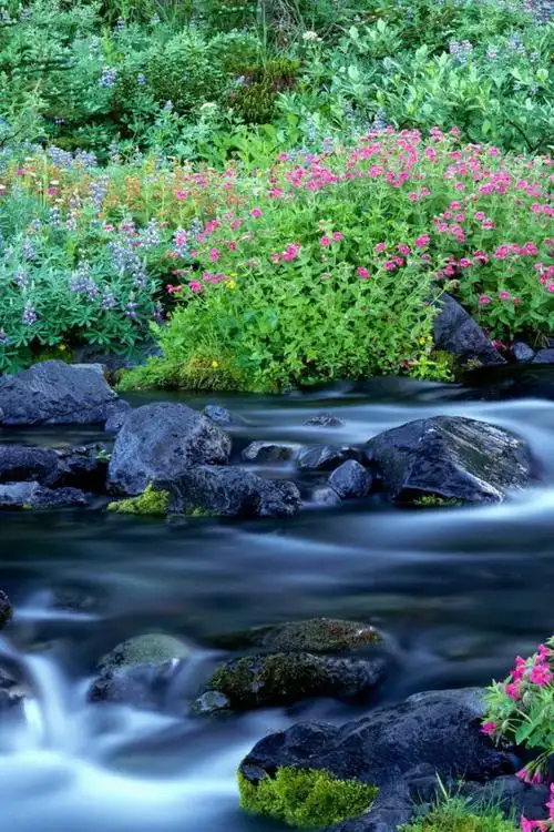 山涧流水 风景壁纸 风景图片大全 风景桌面壁纸大全 免费风景高清壁纸
