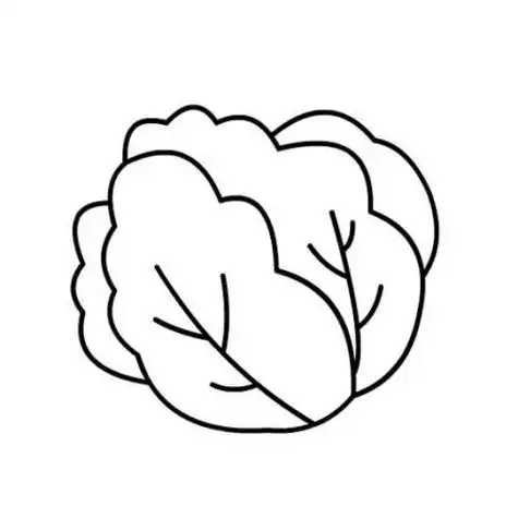 幼儿园花包菜简笔画