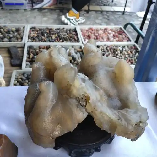 【】阿拉善奇石欣赏