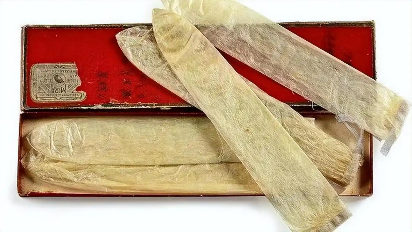 这套由鱼鳔制成的安全套已有 110 年的历史,据说它们可以重复使用10