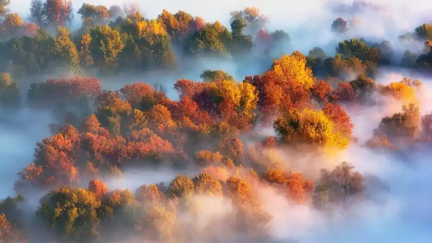 云雾朦胧的奇景摄影高清壁纸