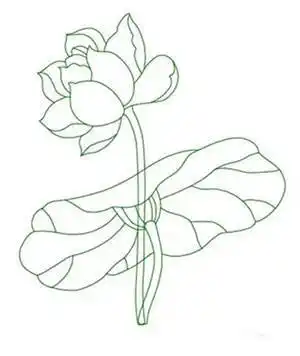 荷叶简笔画 荷叶简笔画简单又好看