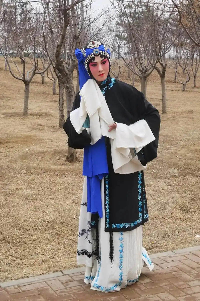 谁说京剧不抖音 #戏曲情侣造型摄影 京剧别窑 与@练功的男 - 抖音