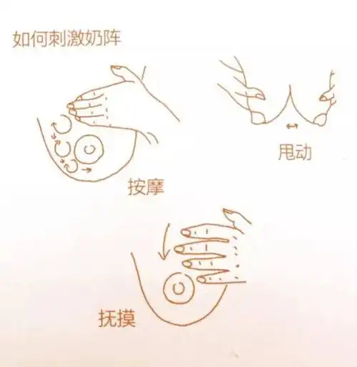 专家「图解」9步通乳手法,很实用!