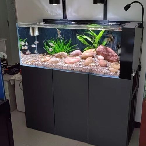 荣升野采溪流缸 天然鹅卵石南美原生缸 落地造景三湖慈鲷生态鱼缸