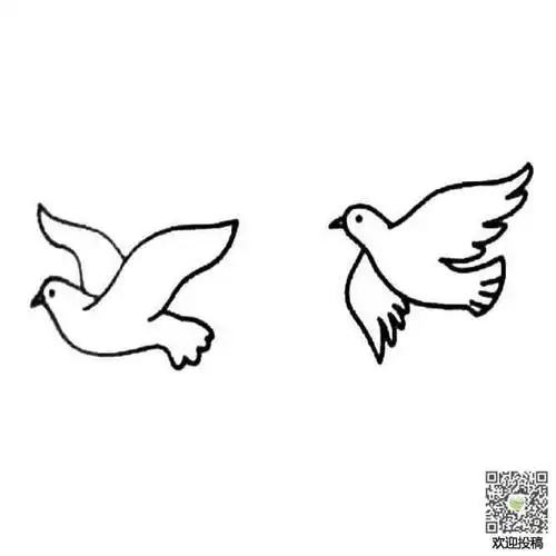 鸽子怎么画简笔画儿童