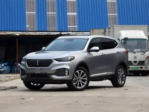 长城汽车 wey vv6 2020款 2.0t 两驱智享