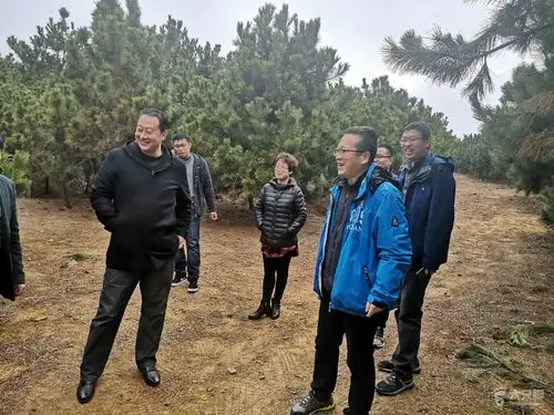 到即墨田横岛度假区现场查看举报事宜