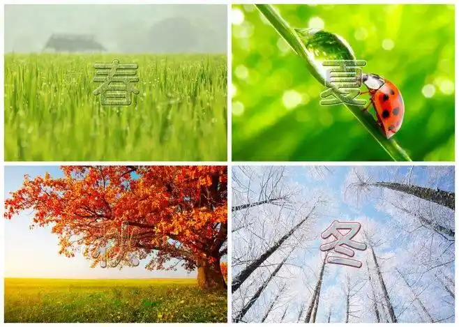 陆介政:一年四季