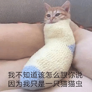 300_300gif 动态图 动图