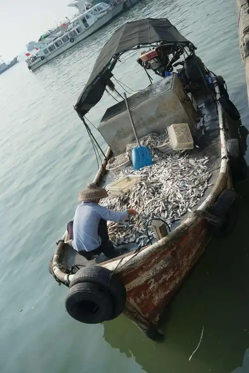 渔民捕鱼,收获丰厚.