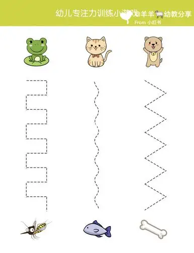 幼儿园专注力训练控笔练习