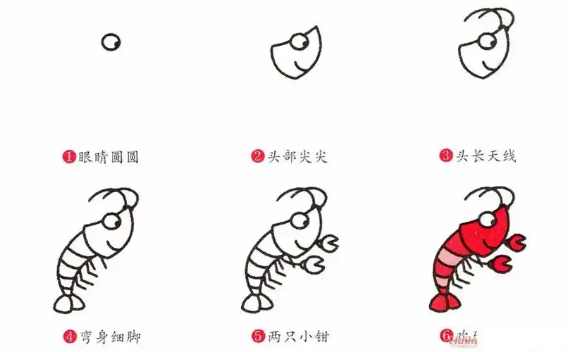 简笔画龙虾分步骤详解彩色龙虾简笔画法