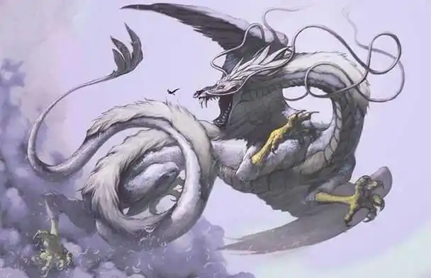 龙和蛇的区别「龙和蛇的区别在哪里」-寅森速头条