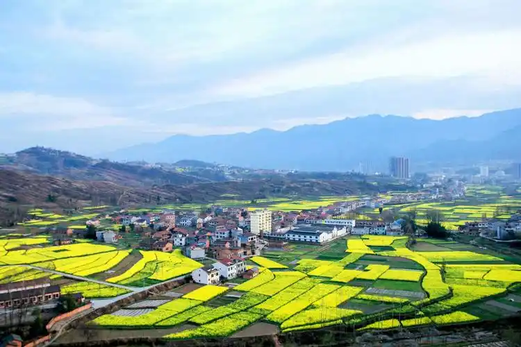 汉阴的三月就这么美～油菜花旅游季让你漫步油菜花海,畅游生态汉阴