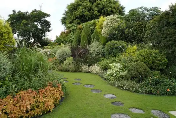 如何让"中国花境"流光溢彩?