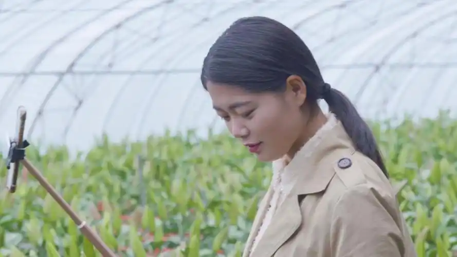 去看看连云港东海县乡村小乔的直播,连云港的最美网红