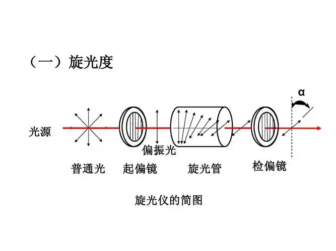 3立体化学基础ppt