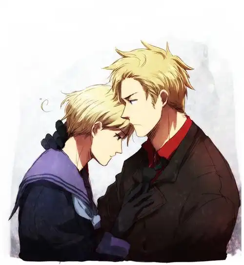 求这三张aph黑塔利亚家暴组丁诺的同人图的原图