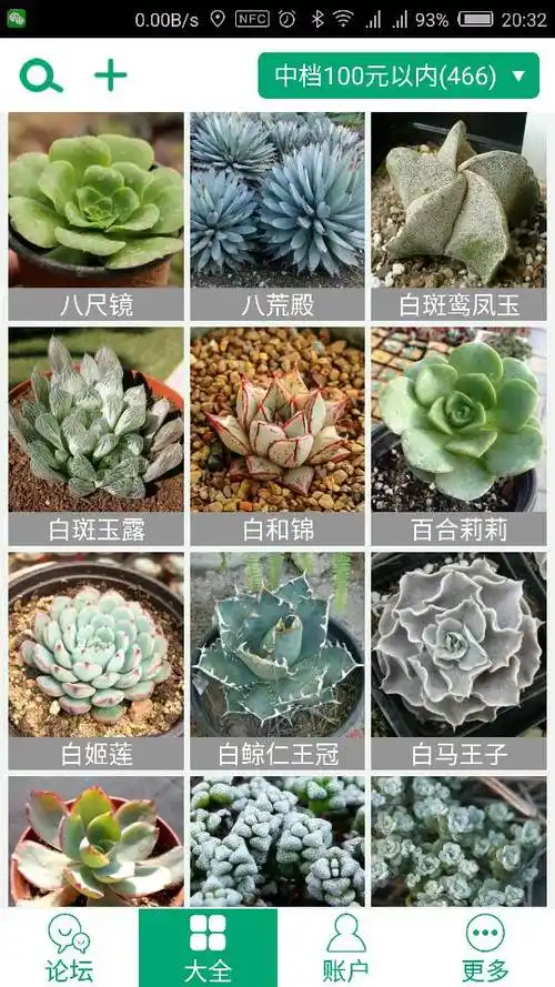 求告知现各品种多肉价位