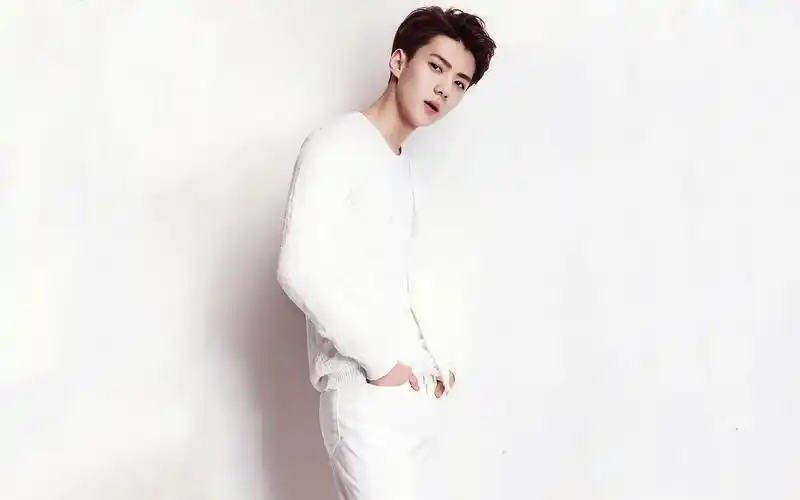 exo,k,日韩明星,写真,杂志画报,花样美男,长腿男神,美男吴世勋壁纸