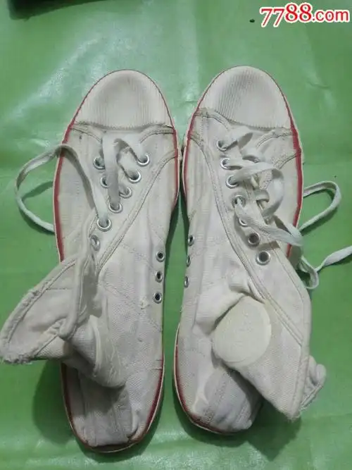 很老的天鹅牌回力鞋一双